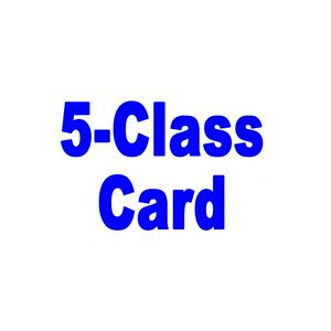 5-Class Card - Regular Rate
