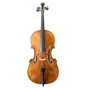 Stefan Petrov Cello Select