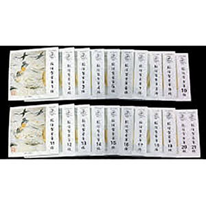 Guzheng String Dun Huang A Set of 21 Strings